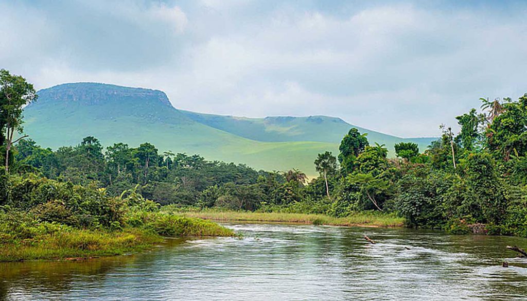 A body of water surrounded by trees